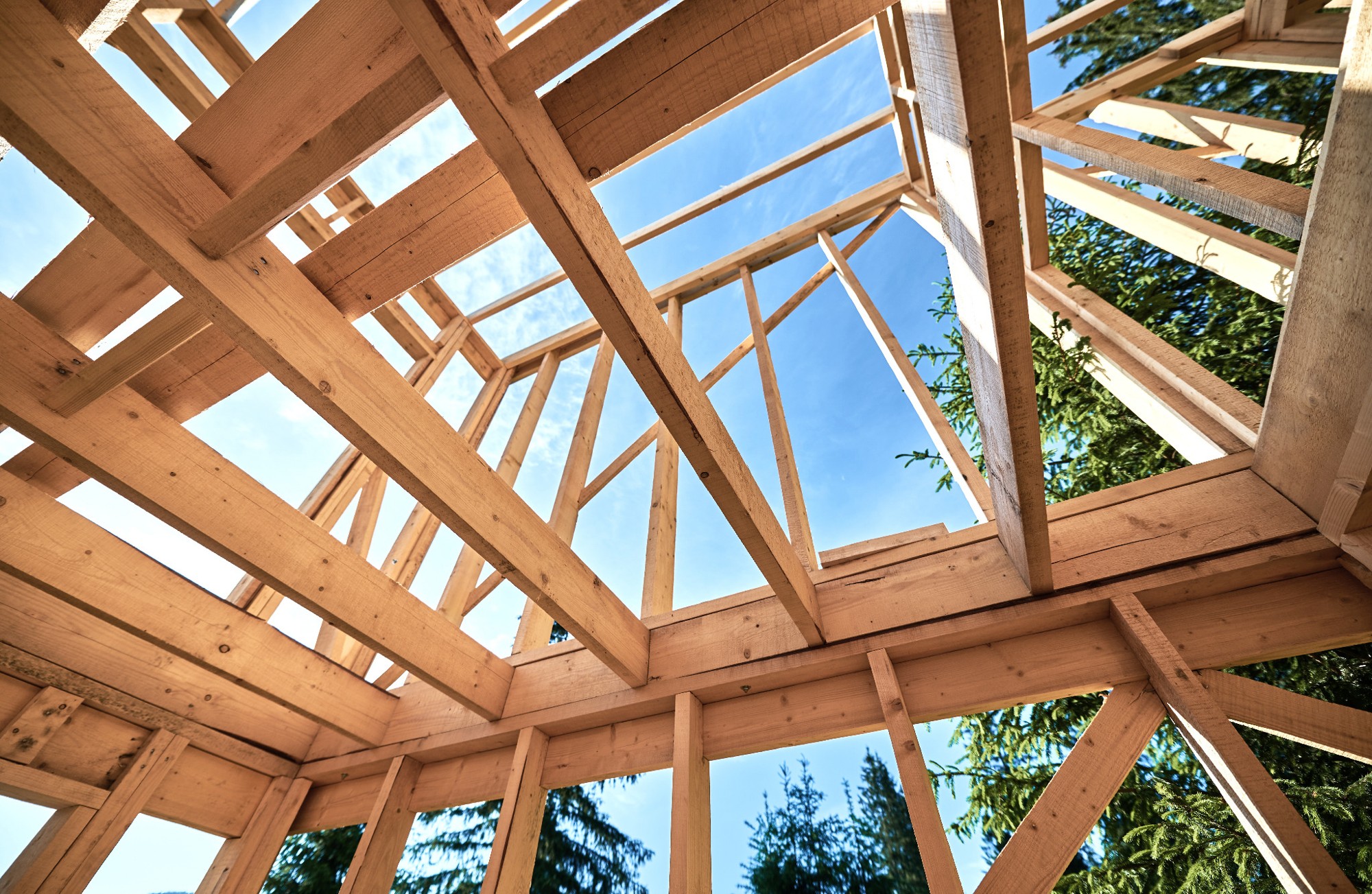 Holzbau-Dachkonstruktion gegen blauen Himmel