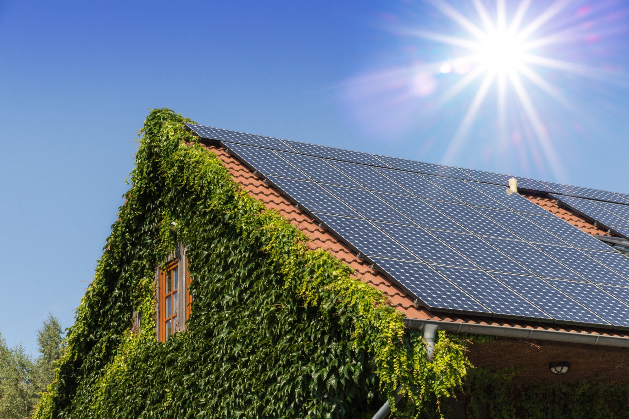 PV-Anlagen – Dach & Fachwerk
